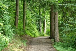 away-1548326__340 away-1548326__340