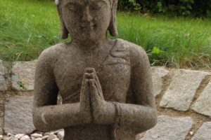 tagesseminare tagesseminare