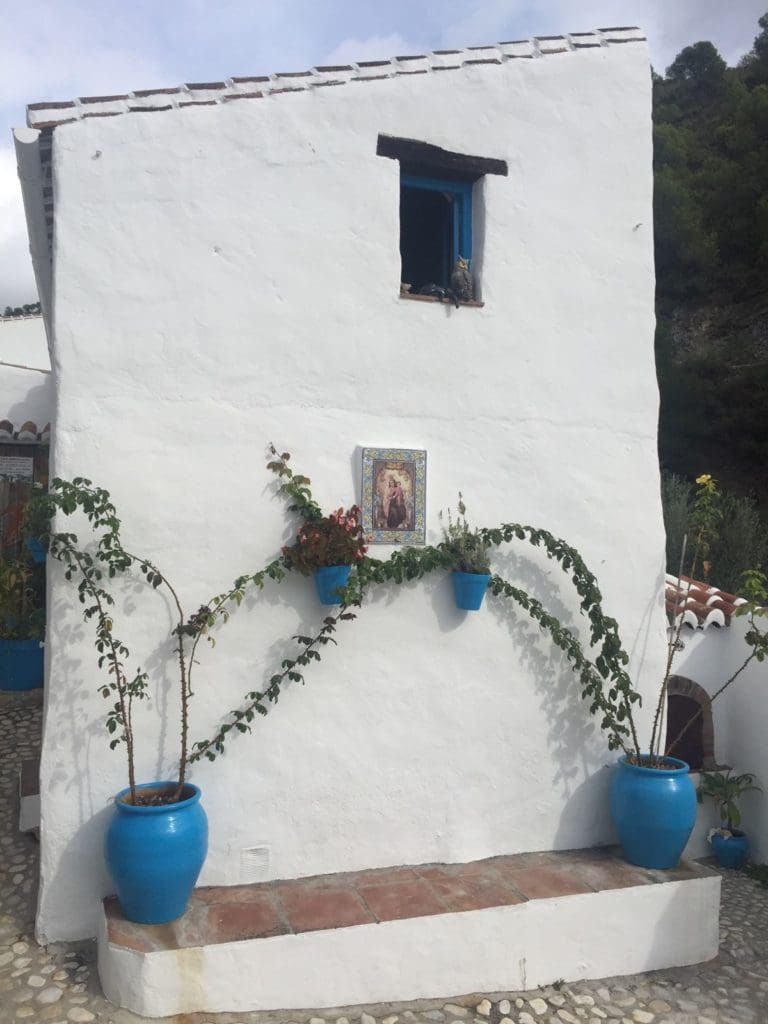 2016-10-25-PHOTO-00002106